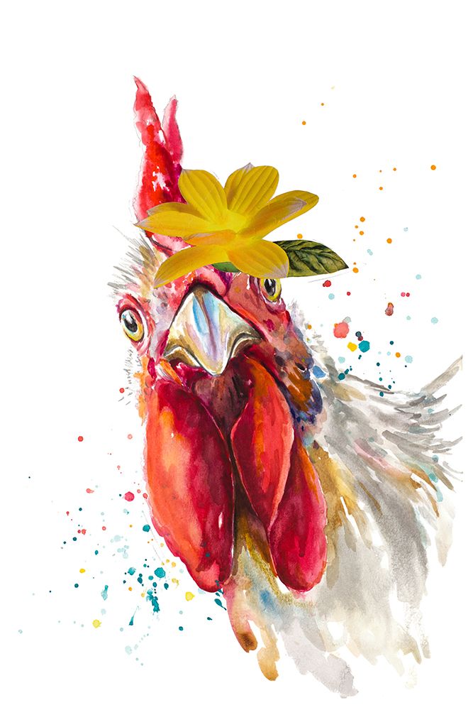 Cute Rooster art print by Patricia Pinto for $57.95 CAD