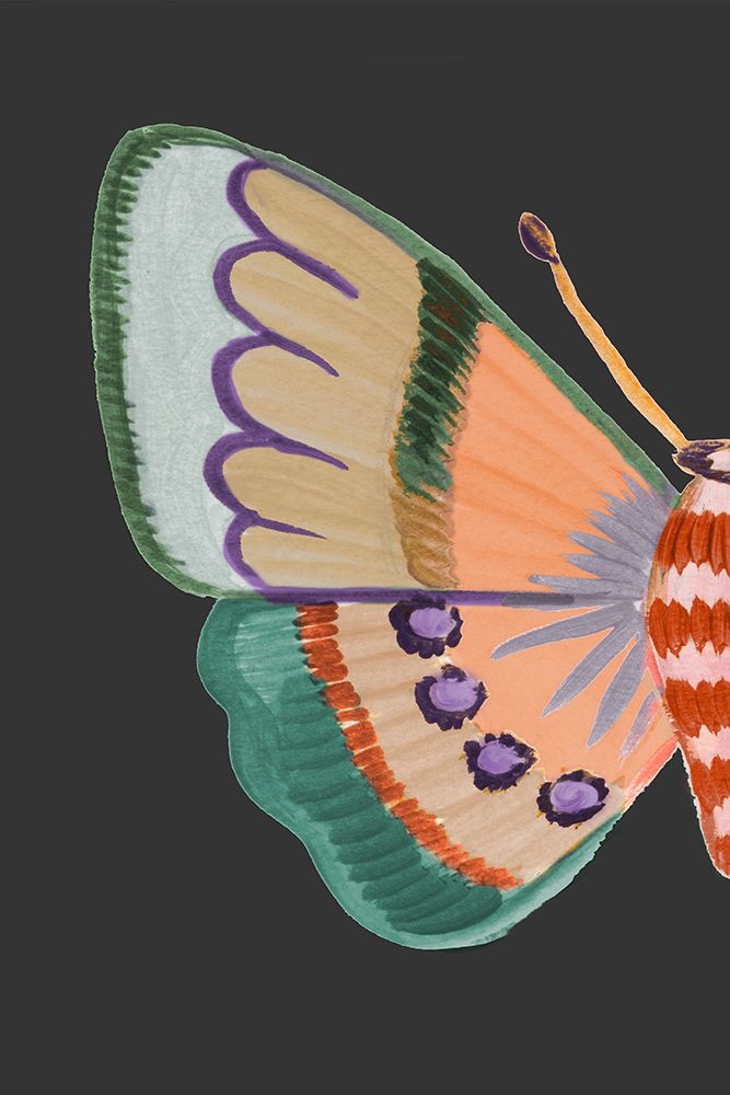 Boho Butterfly on Black I art print by Ani Del Sol for $57.95 CAD