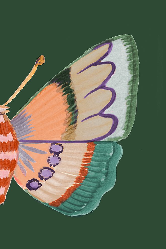 Boho Butterfly on Green II art print by Ani Del Sol for $57.95 CAD