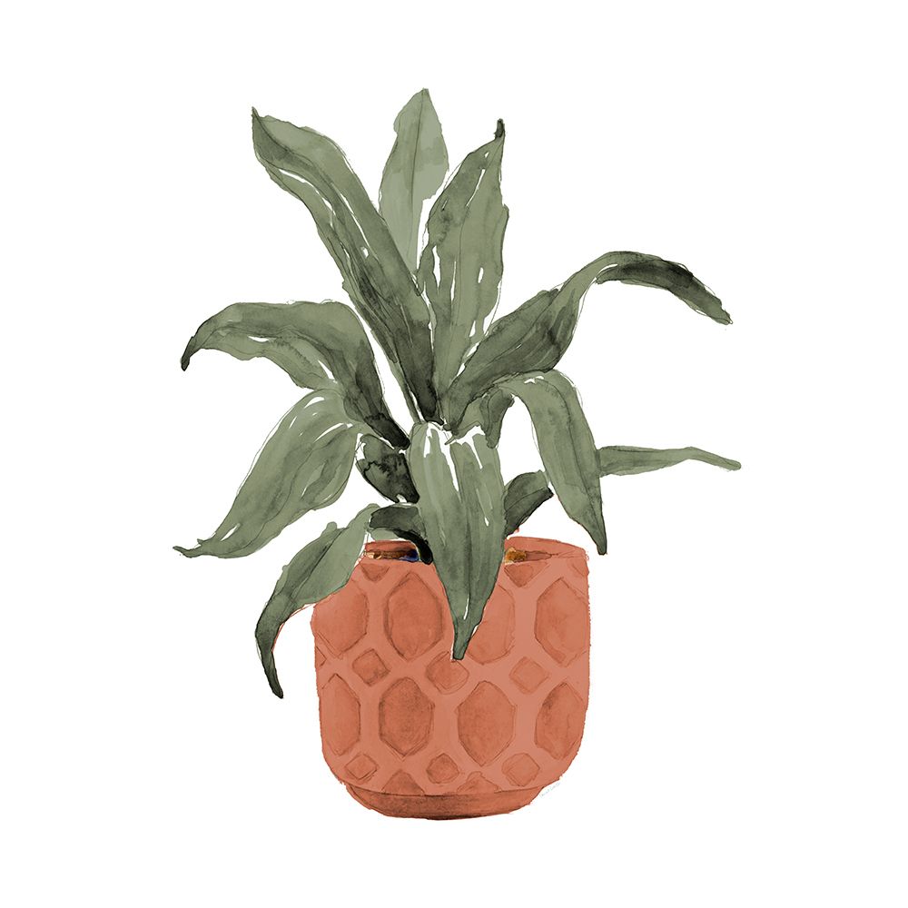 Plant In Terracotta Pot I art print by Lanie Loreth for $57.95 CAD