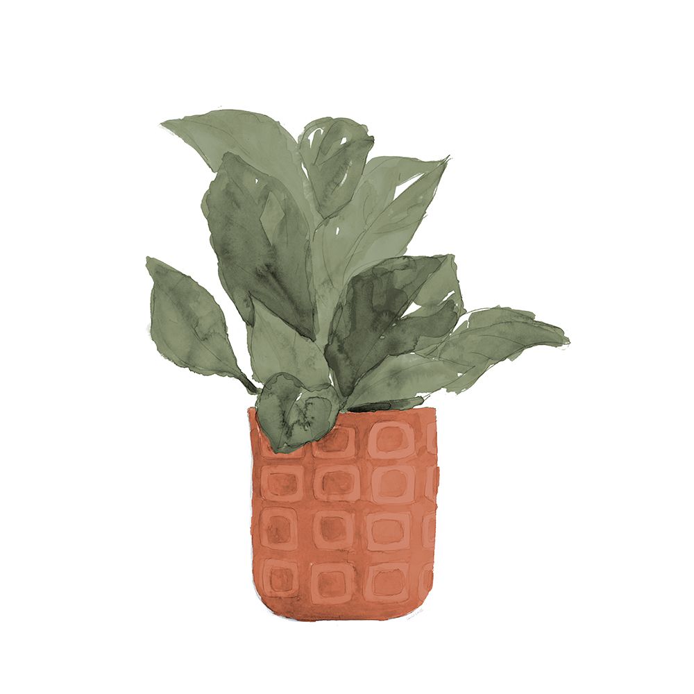 Plant In Terracotta  Pot II art print by Lanie Loreth for $57.95 CAD