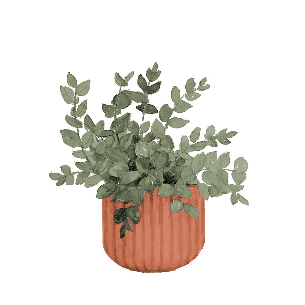 Plant In Terracotta  Pot IV art print by Lanie Loreth for $57.95 CAD