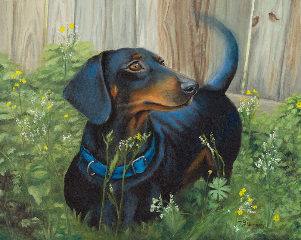 Dachshund art print by Tiffany Hakimipour for $57.95 CAD