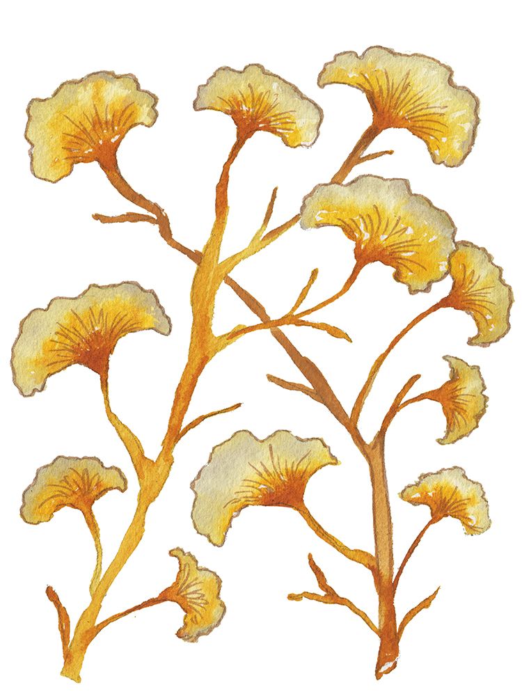 Gold Floral Branches art print by Elizabeth Medley for $57.95 CAD