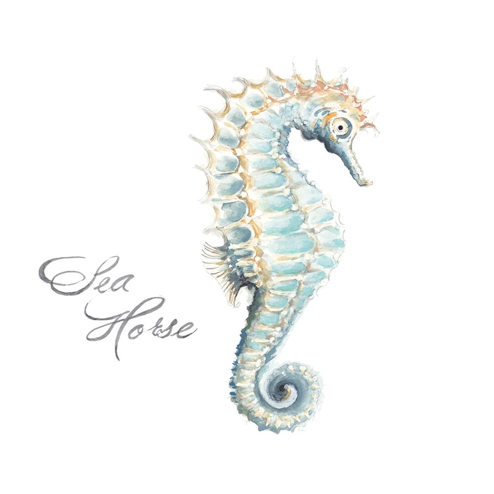 Sea Horse art print by Patricia Pinto for $57.95 CAD