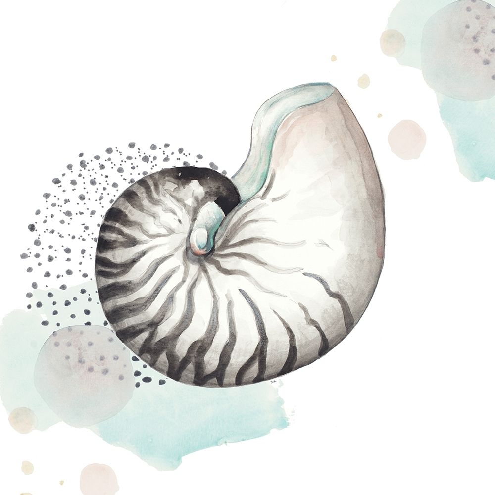 Turquoise Ocean Nautilus art print by Patricia Pinto for $57.95 CAD