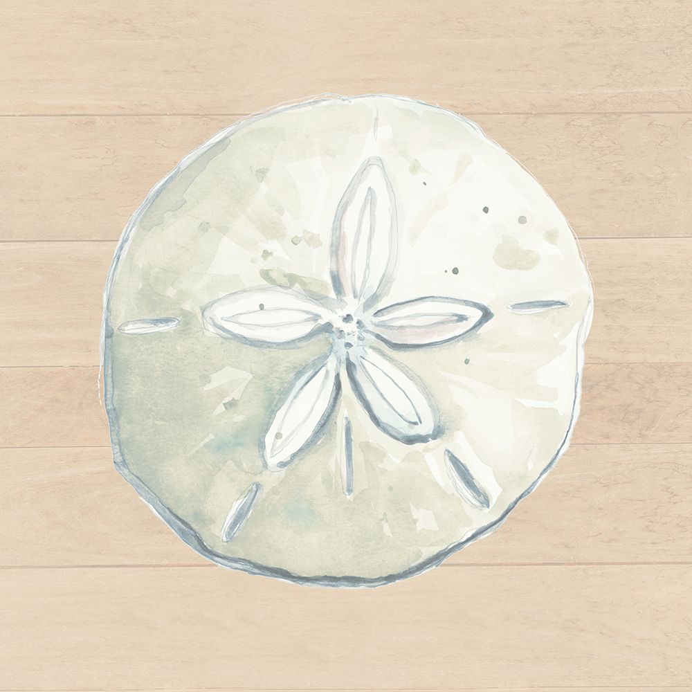 Sand Dollar On Wood Background art print by Patricia Pinto for $57.95 CAD