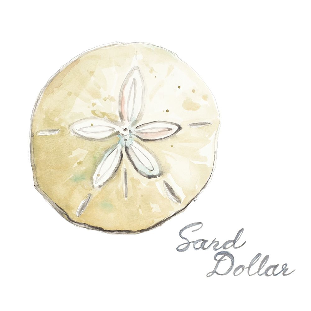 Sand Dollar art print by Patricia Pinto for $57.95 CAD