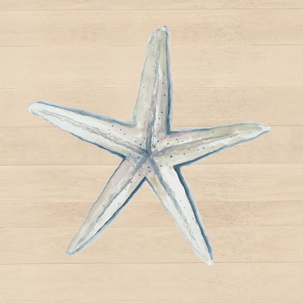 Starfish On Wood Background art print by Patricia Pinto for $57.95 CAD