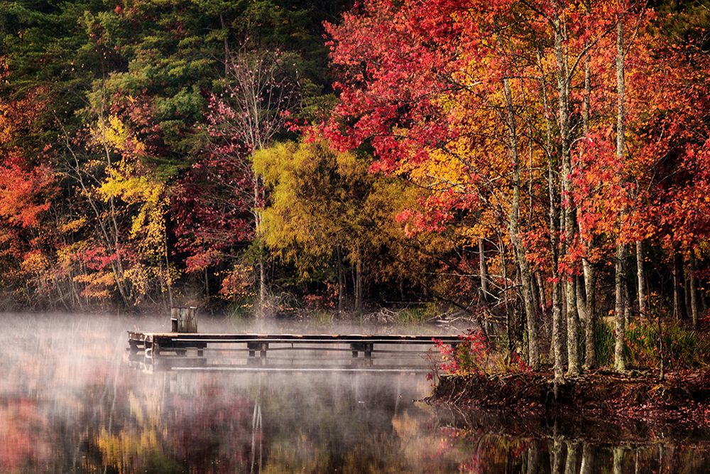 Woodland Dock art print by Andy Amos for $57.95 CAD