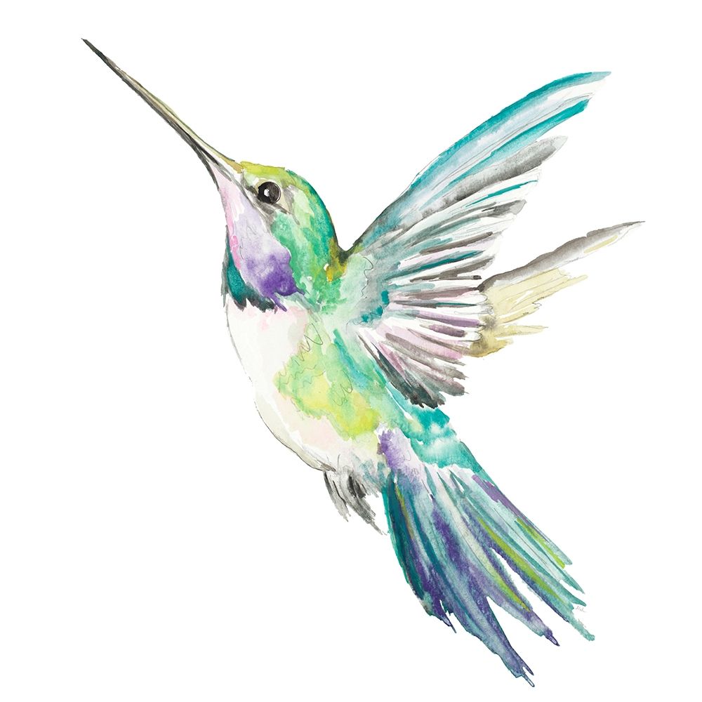New Hummingbird art print by Patricia Pinto for $57.95 CAD