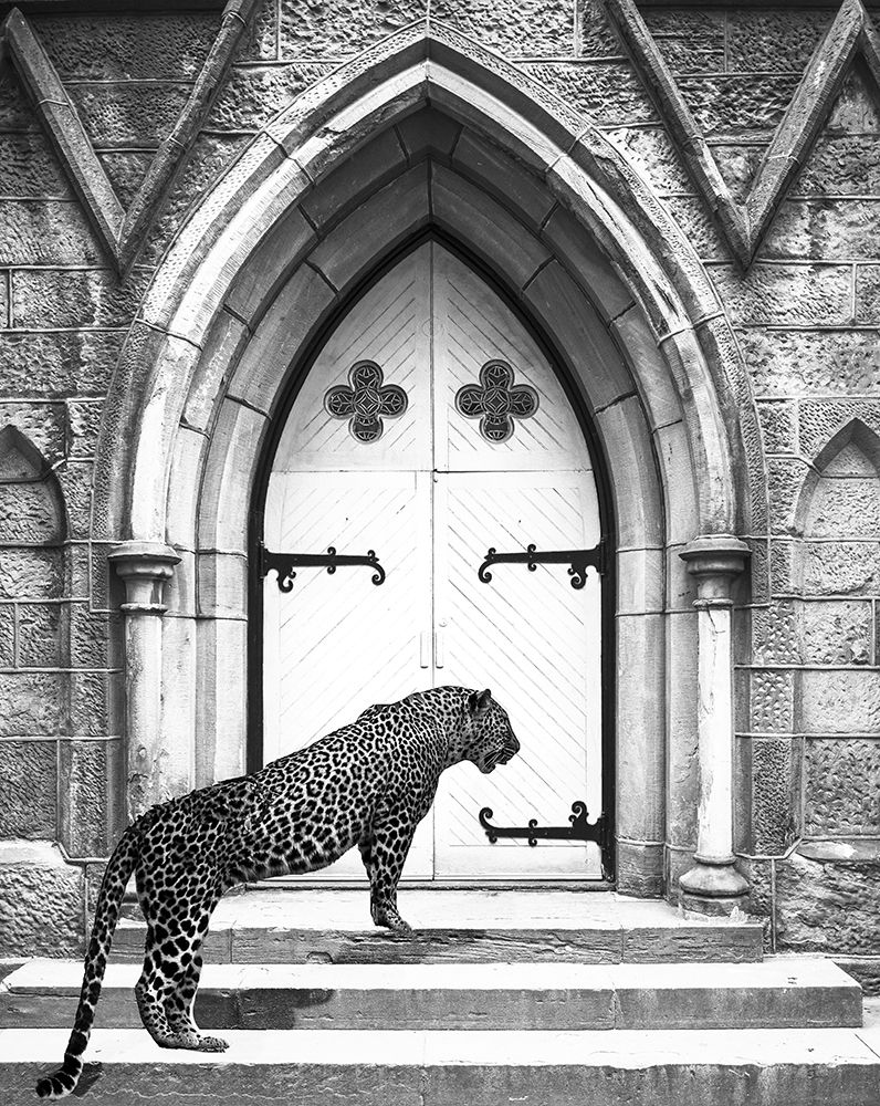 Holy Leopard art print by Bill Carson Photography for $57.95 CAD