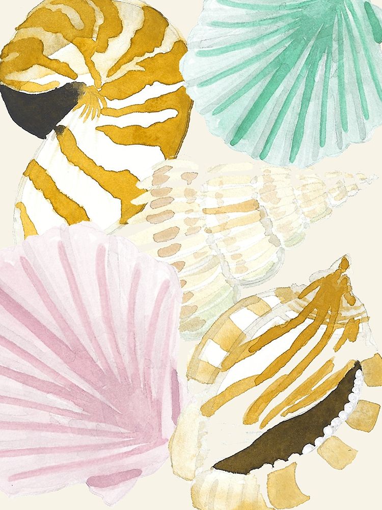 Seashell Collage art print by Jen Bucheli for $57.95 CAD