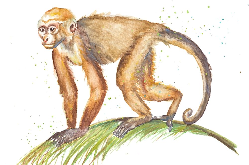Monkeys in the Jungle II art print by Patricia Pinto for $57.95 CAD