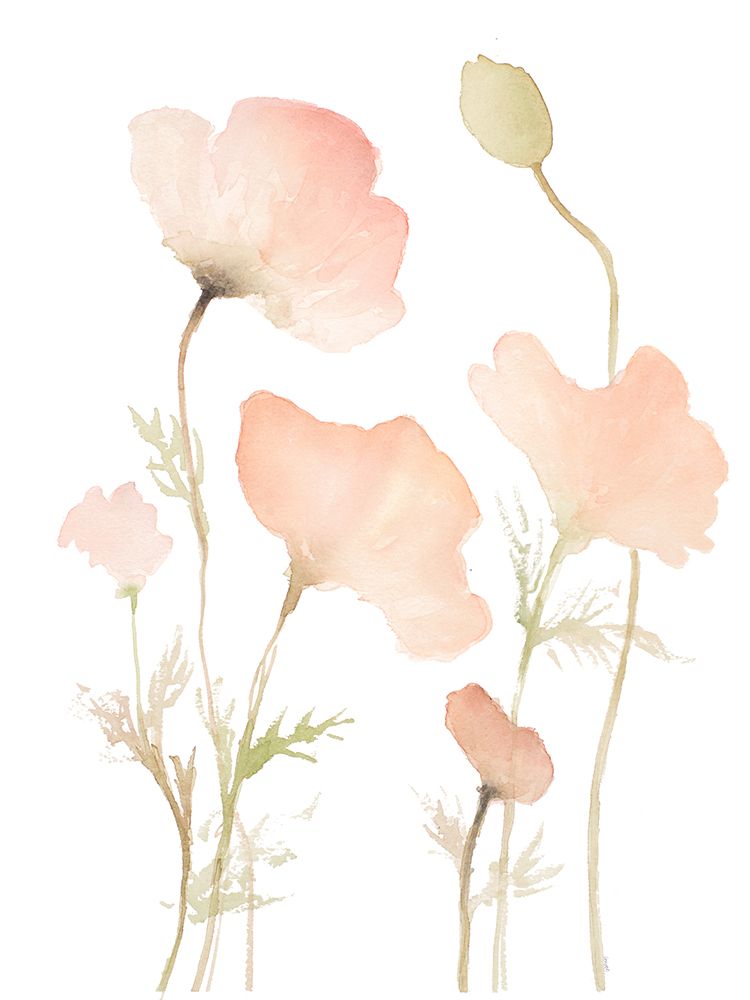 Early Summer Poppies I art print by Lanie Loreth for $57.95 CAD