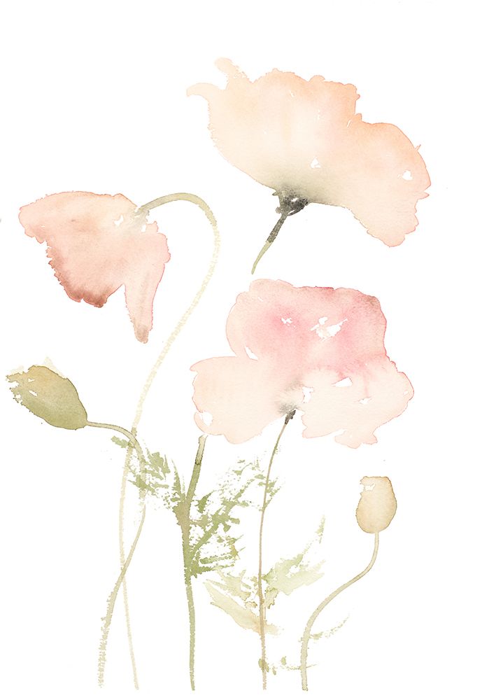 Early Summer Poppies II art print by Lanie Loreth for $57.95 CAD