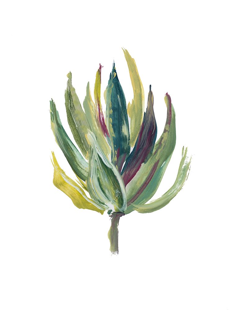 Succulent II art print by Lanie Loreth for $57.95 CAD