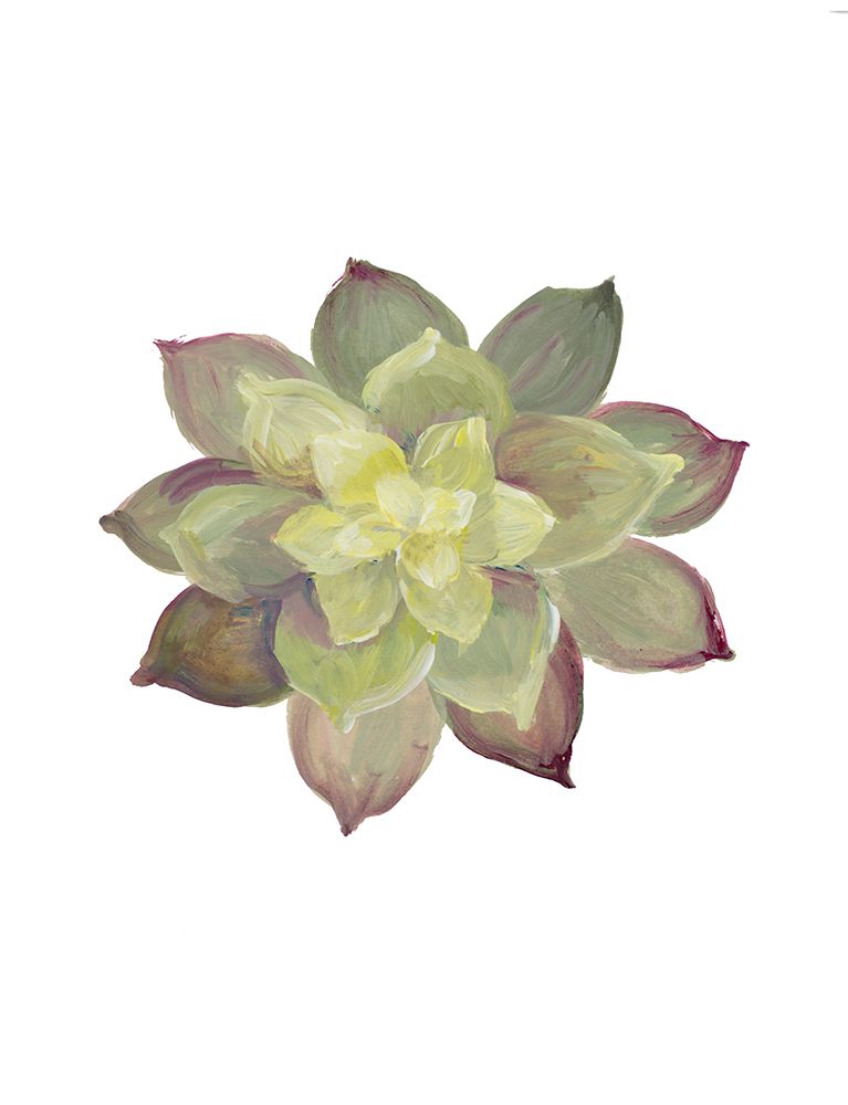 Succulent I art print by Lanie Loreth for $57.95 CAD