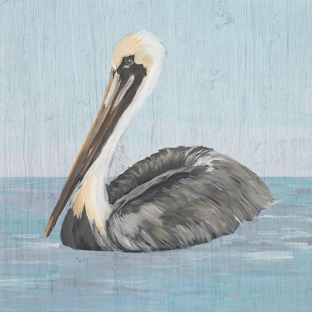 Pelican Wash I art print by Julie DeRice for $57.95 CAD