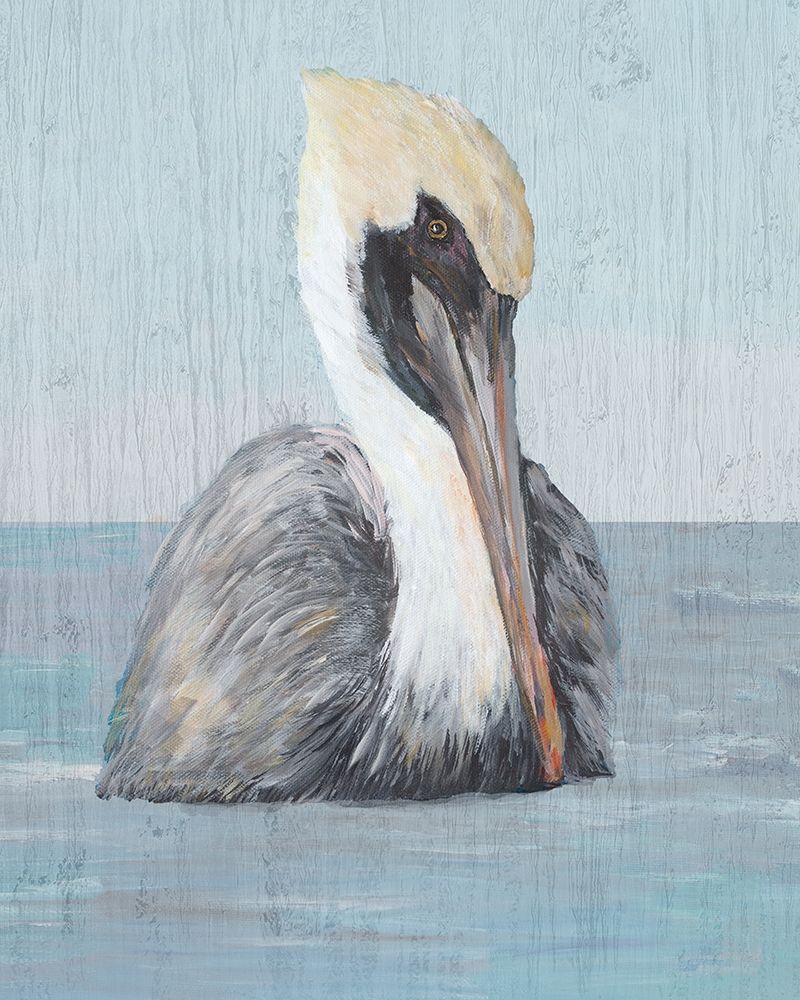 Pelican Wash II art print by Julie DeRice for $57.95 CAD