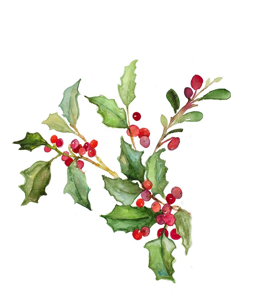 Holly Branches II art print by Lanie Loreth for $57.95 CAD