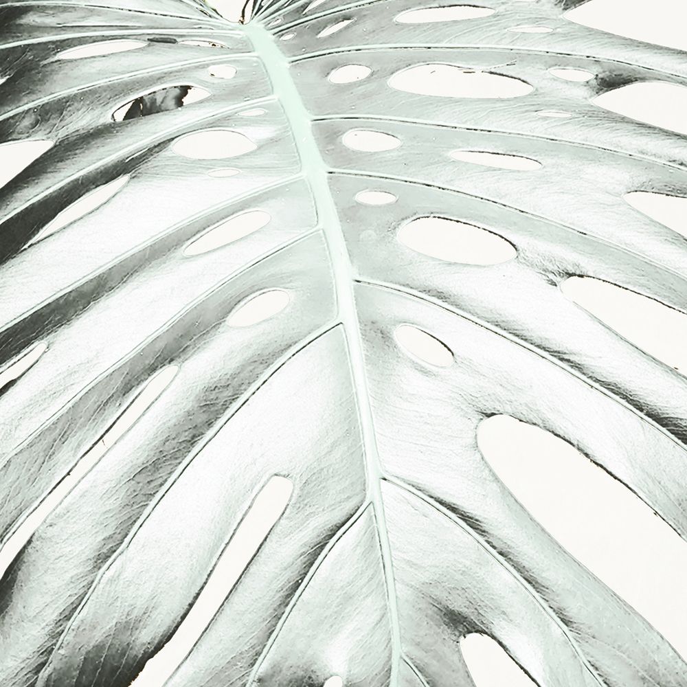 Summer Palm art print by Kali Wilson for $57.95 CAD