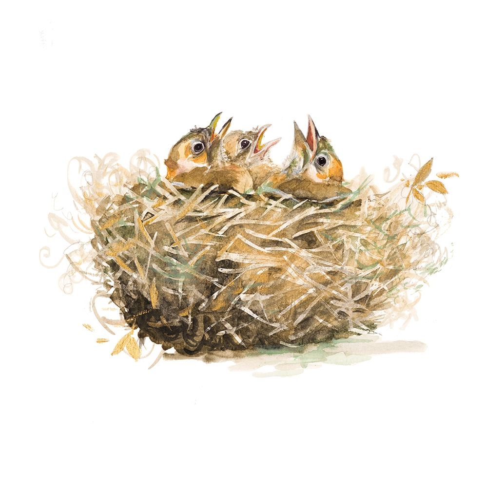 The Nest art print by Patricia Pinto for $57.95 CAD