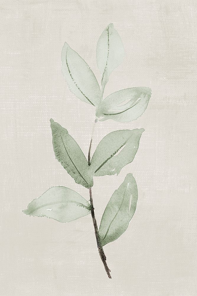 Softly Shaded Green Leaves I art print by Lanie Loreth for $57.95 CAD