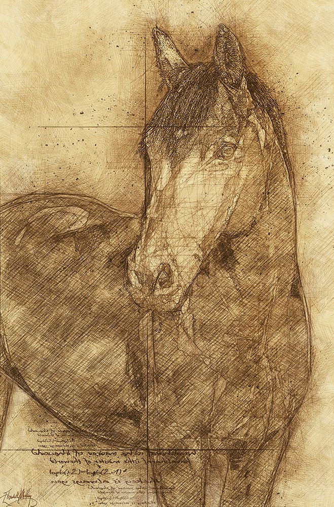 Sketched Horse art print by Elizabeth Medley for $57.95 CAD
