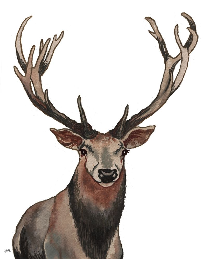 Elk art print by Elizabeth Medley for $57.95 CAD