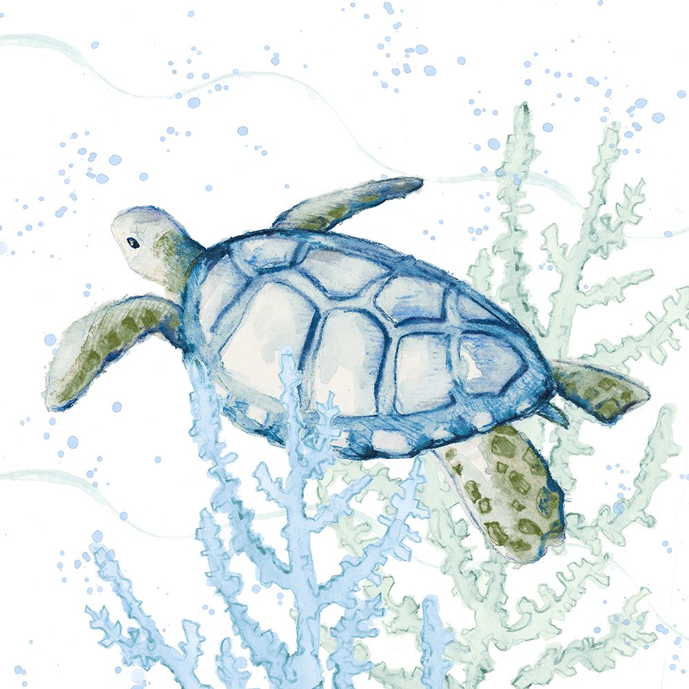 Blue Sea Turtle In Coral art print by Lanie Loreth for $57.95 CAD