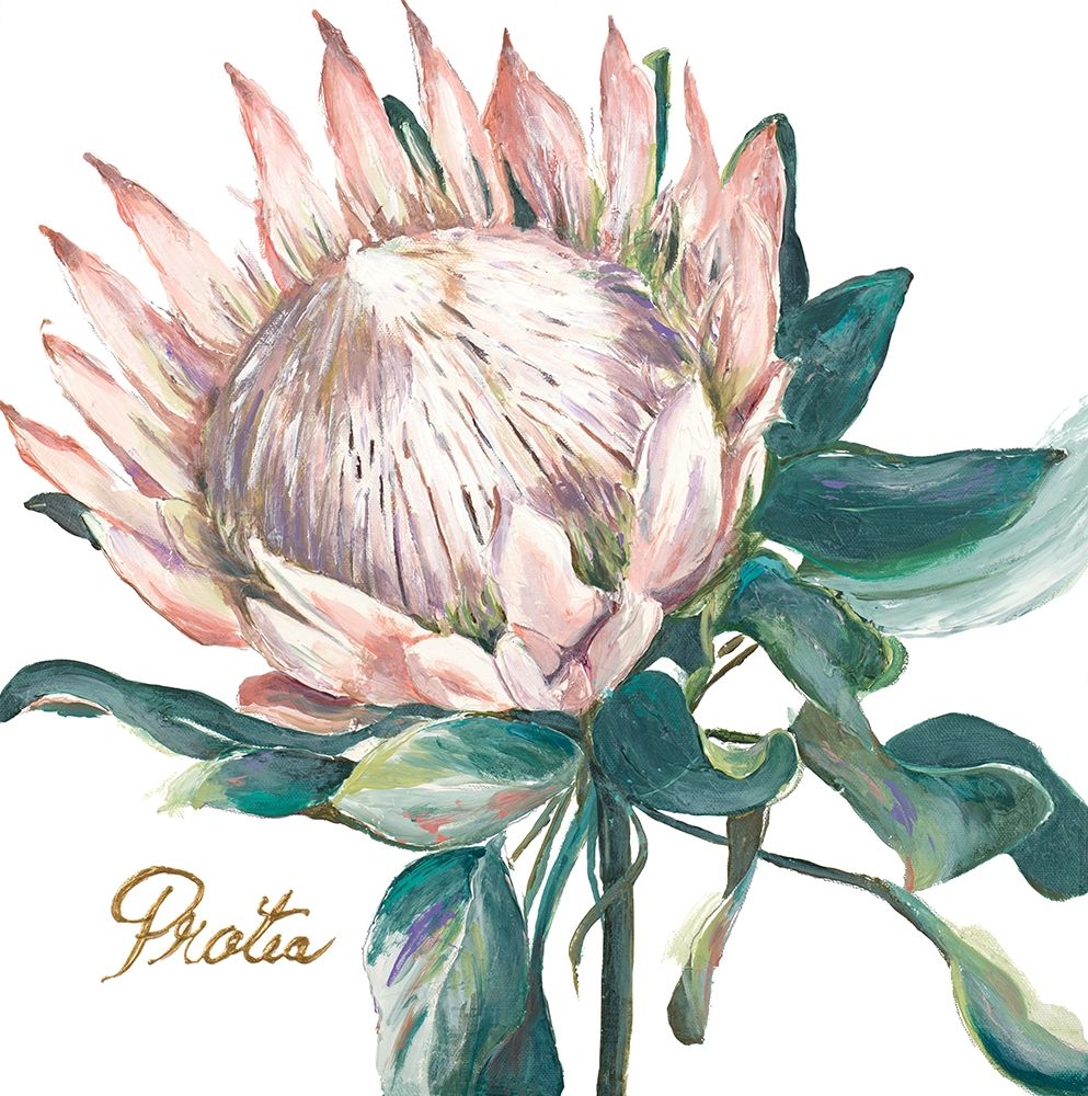 Protea I art print by Patricia Pinto for $57.95 CAD