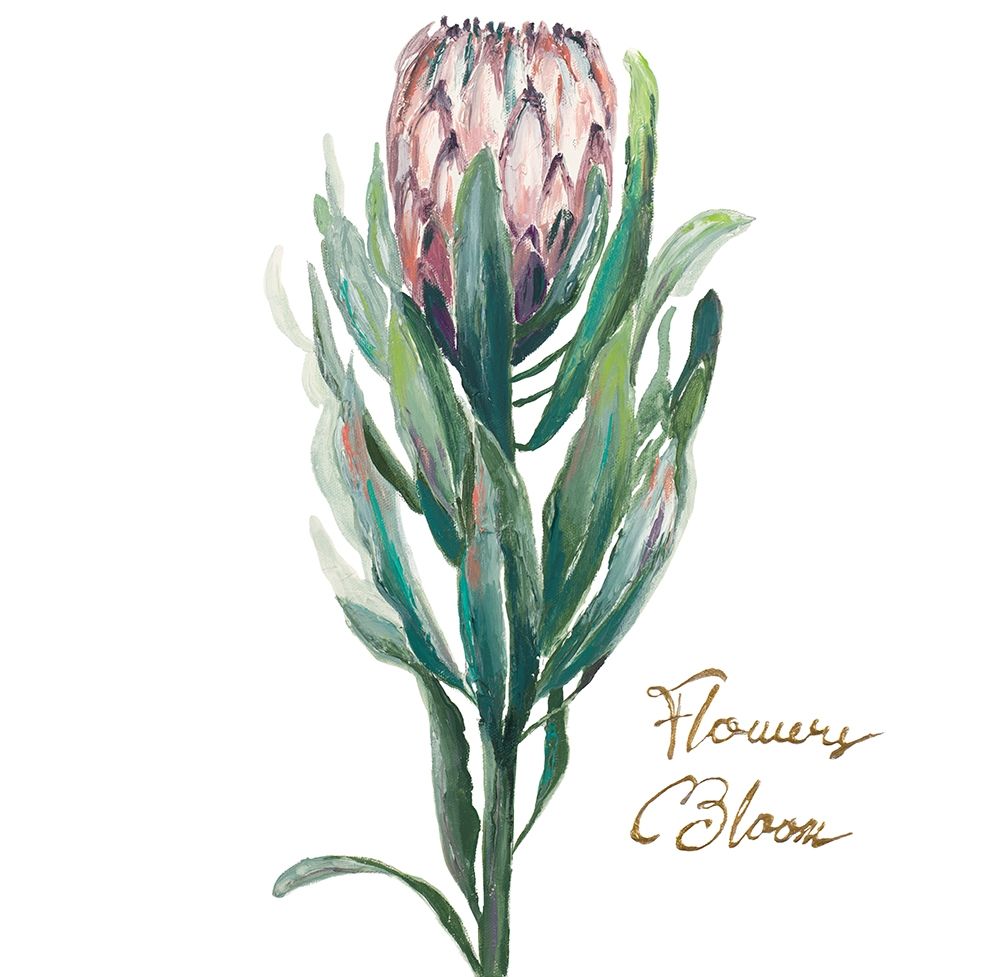 Protea II art print by Patricia Pinto for $57.95 CAD