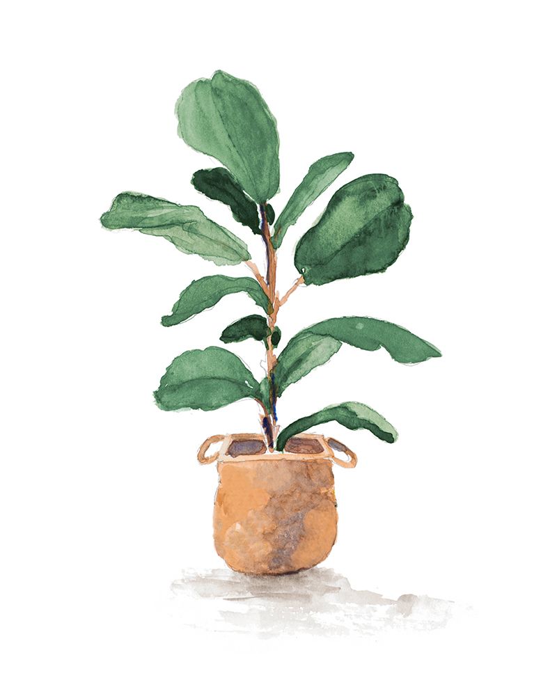Potted Fiddle Fig Tree II art print by Lanie Loreth for $57.95 CAD