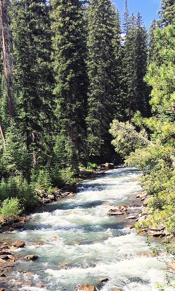 Mountain River art print by Anna Coppel for $57.95 CAD