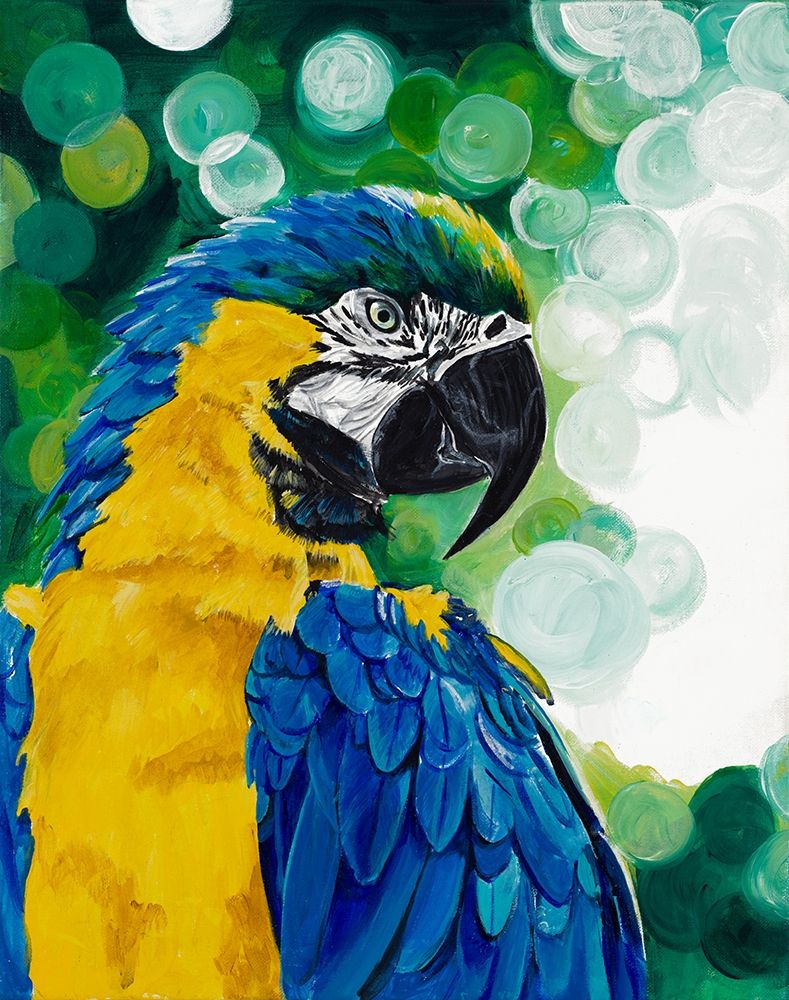Brilliant Parrot art print by Chelsea Goodrich for $57.95 CAD