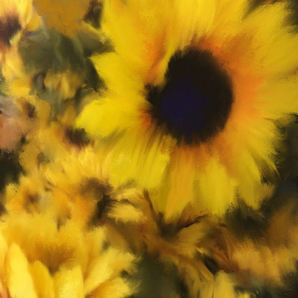 Sunflower art print by Dan Meneely for $57.95 CAD