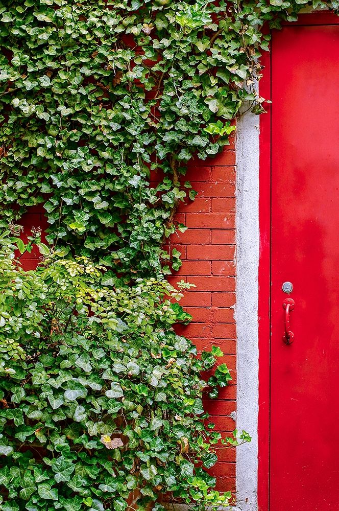 Red Garden Door art print by Bill Carson Photography for $57.95 CAD