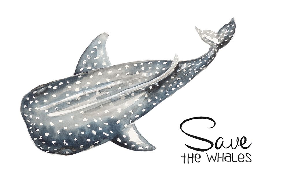 Save The Whales art print by Patricia Pinto for $57.95 CAD