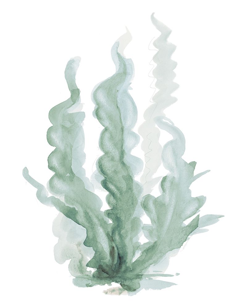 Green Algae art print by Patricia Pinto for $57.95 CAD