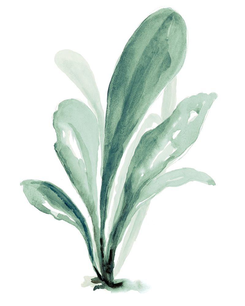 Green Seaweed art print by Patricia Pinto for $57.95 CAD