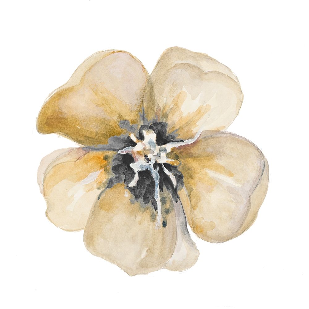 Yellow Flower art print by Patricia Pinto for $57.95 CAD