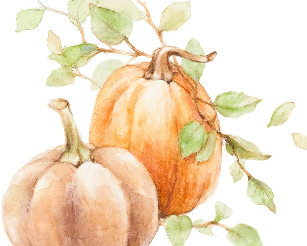 Fall Vines and Two Pumpkins art print by Lanie Loreth for $57.95 CAD