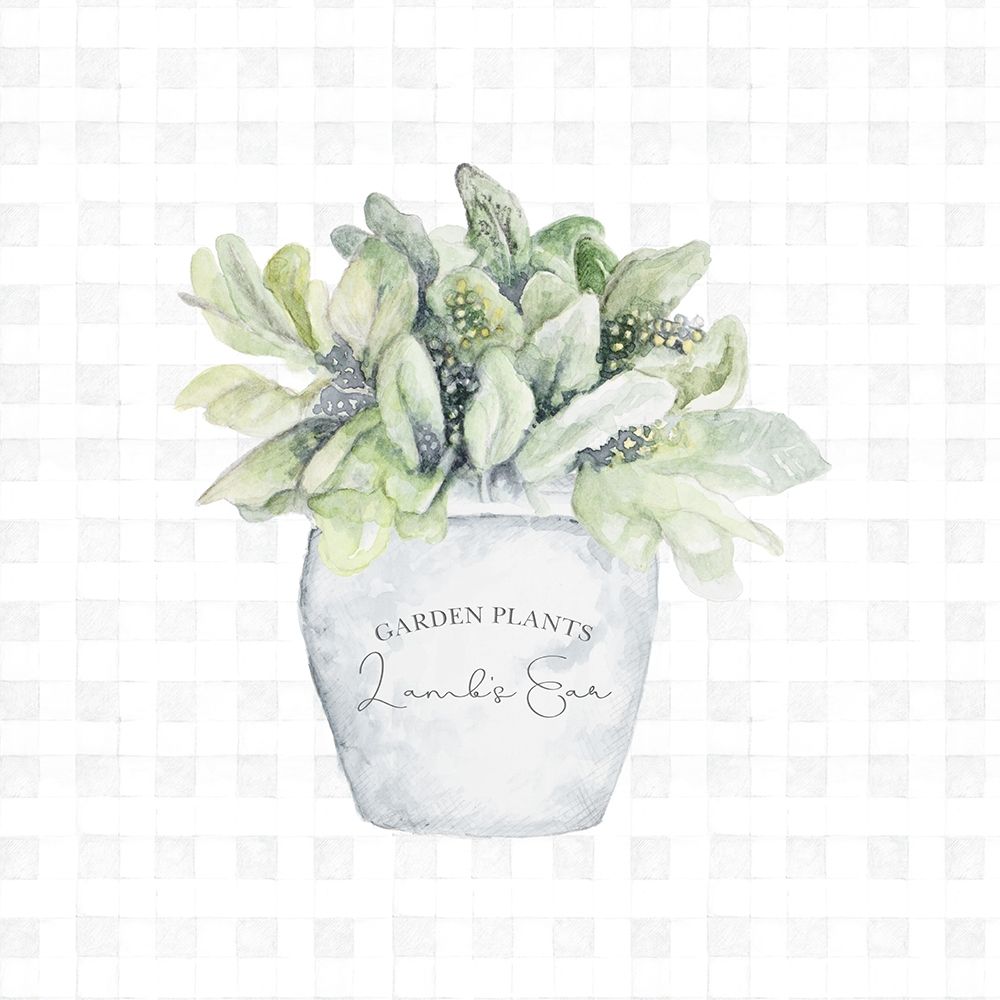 Garden Plants III art print by Janice Gaynor for $57.95 CAD