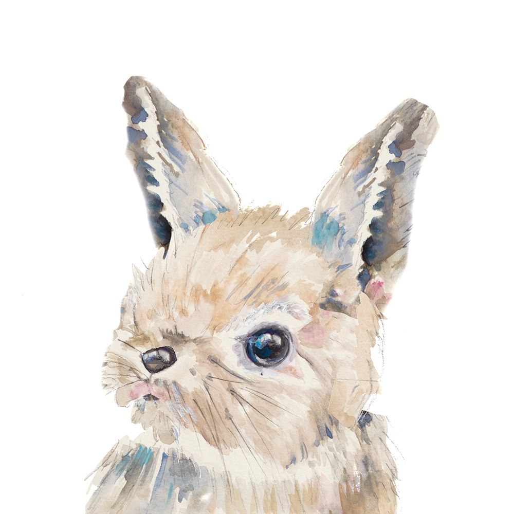 Baby Bunny Close Up art print by Patricia Pinto for $57.95 CAD
