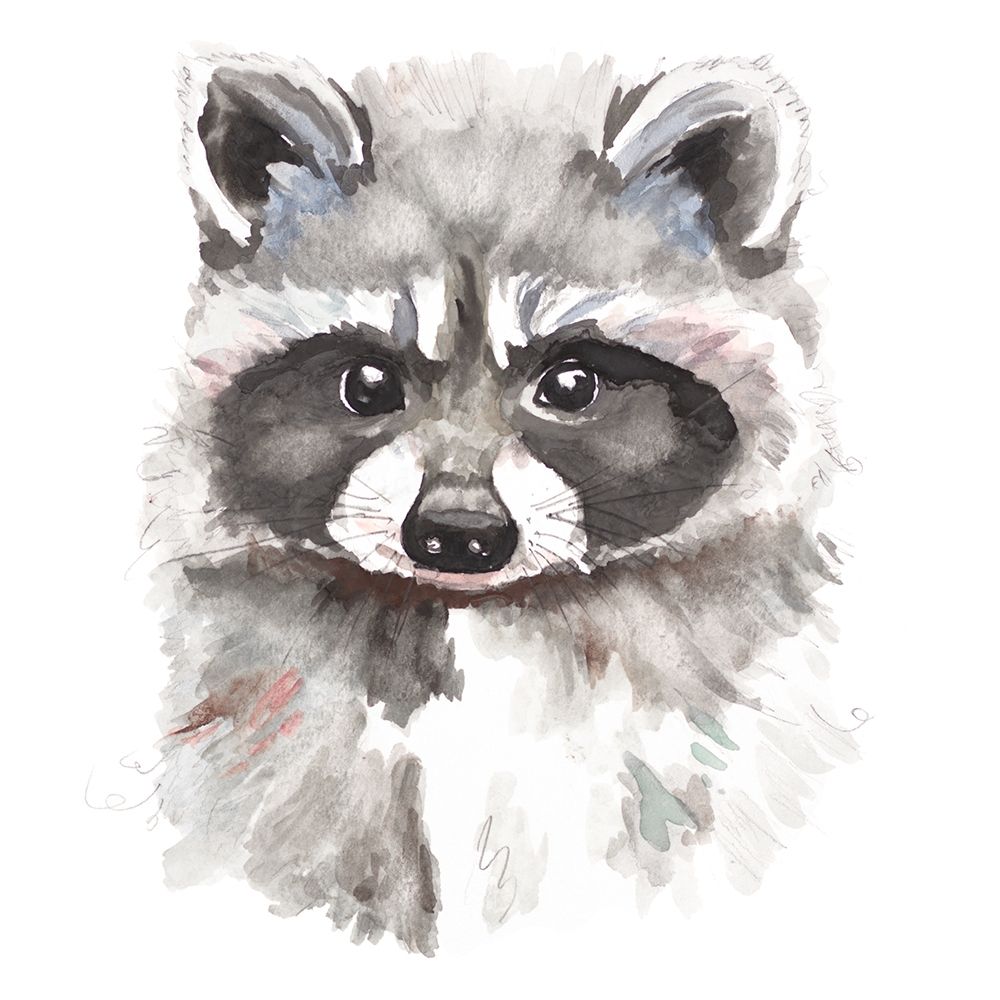 Baby Raccoon art print by Patricia Pinto for $57.95 CAD