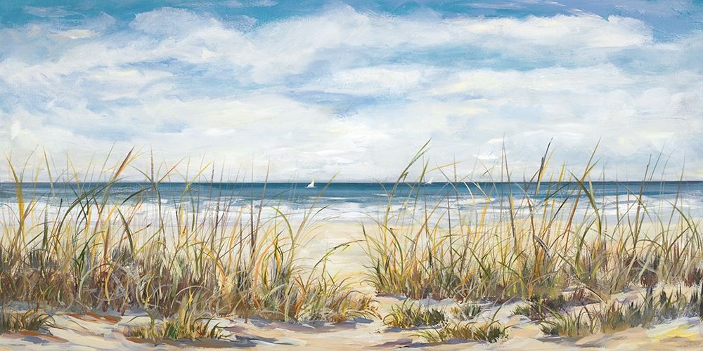 Sailing the Beautiful Coast art print by Julie DeRice for $57.95 CAD