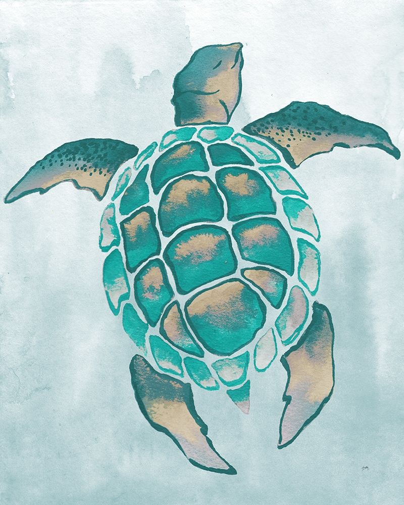 Aquatic Turtle II art print by Elizabeth Medley for $57.95 CAD