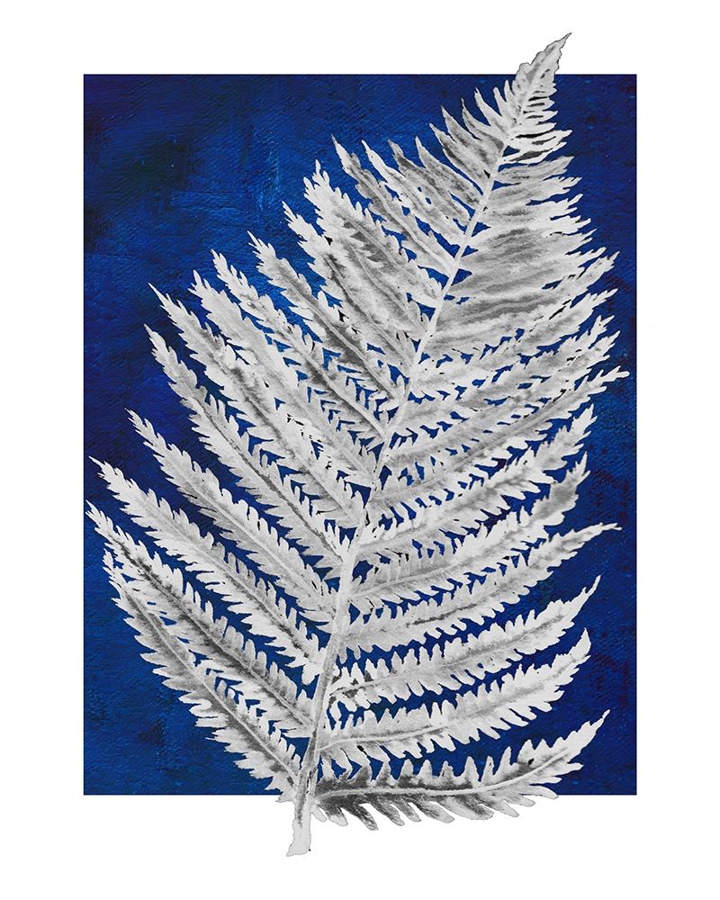 Blue Fern in White Border II art print by Elizabeth Medley for $57.95 CAD
