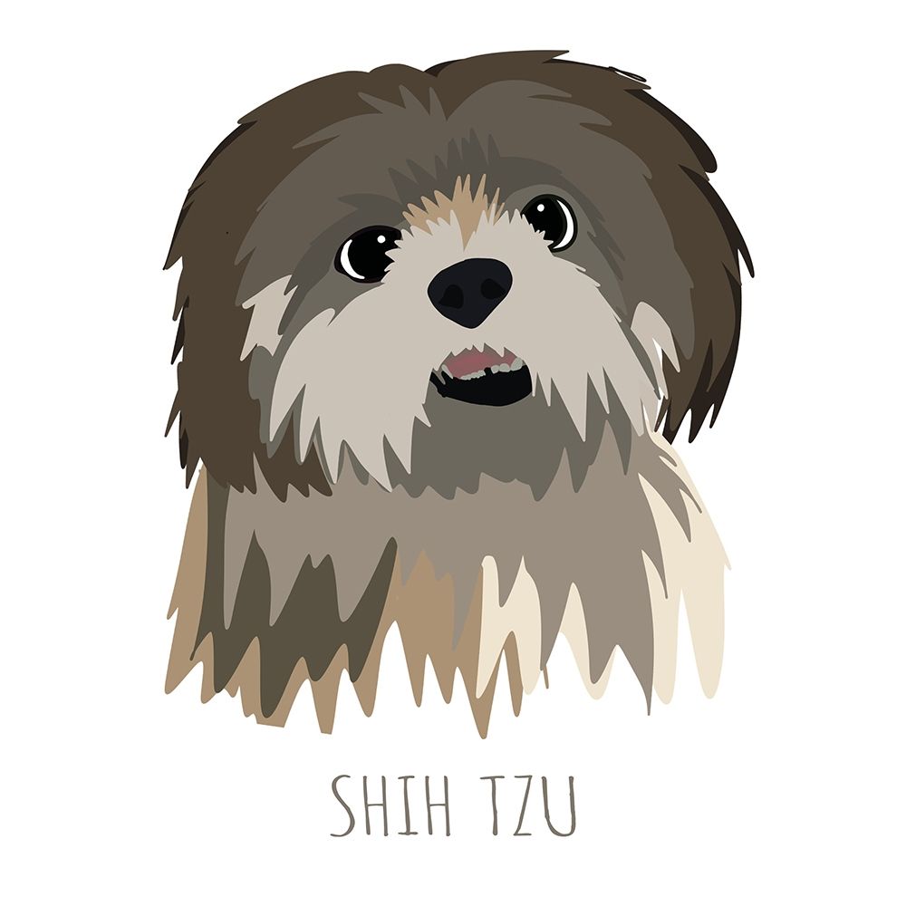 Shih Tzu art print by Melanie Torres for $57.95 CAD